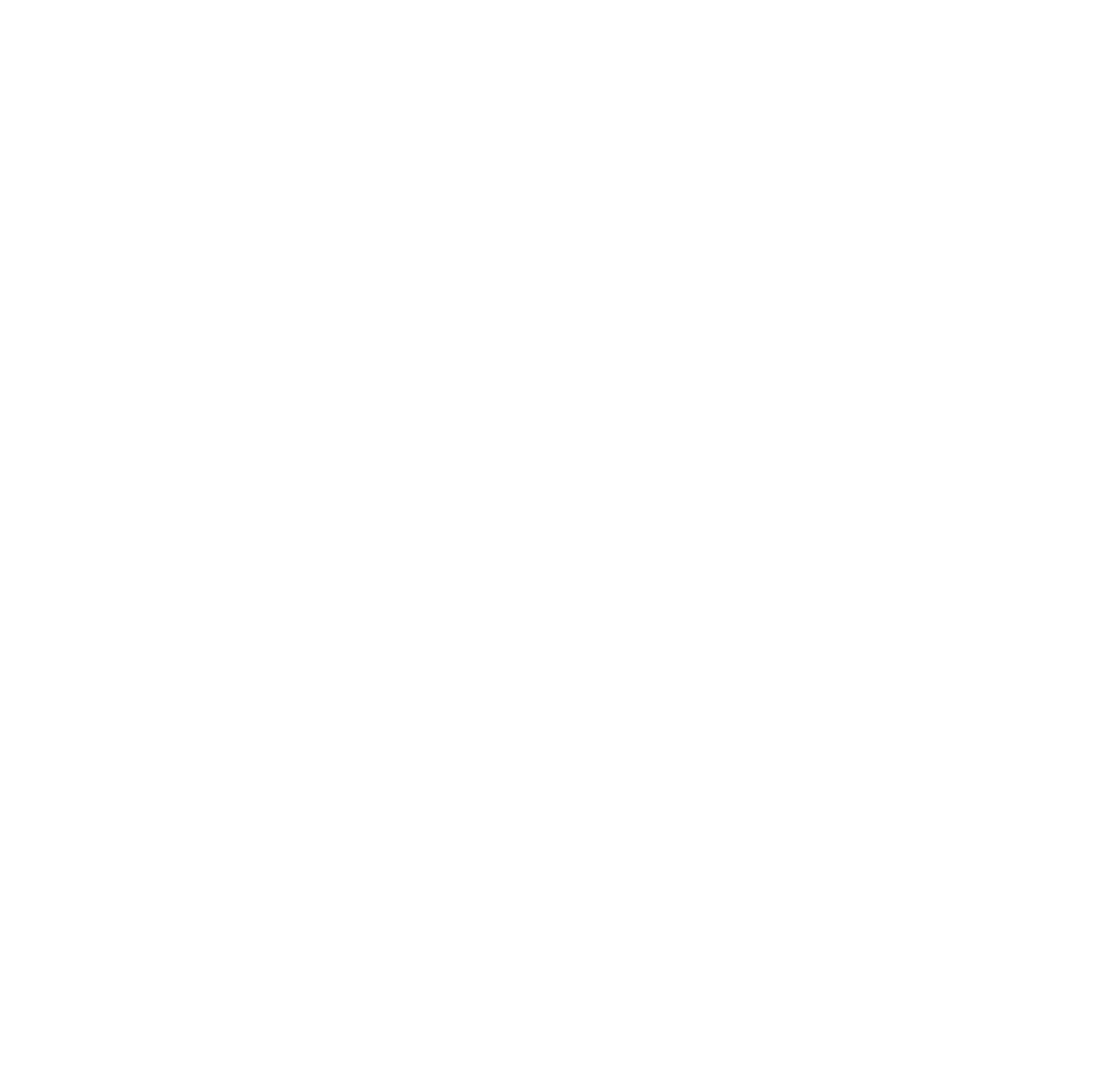 logo github blanc